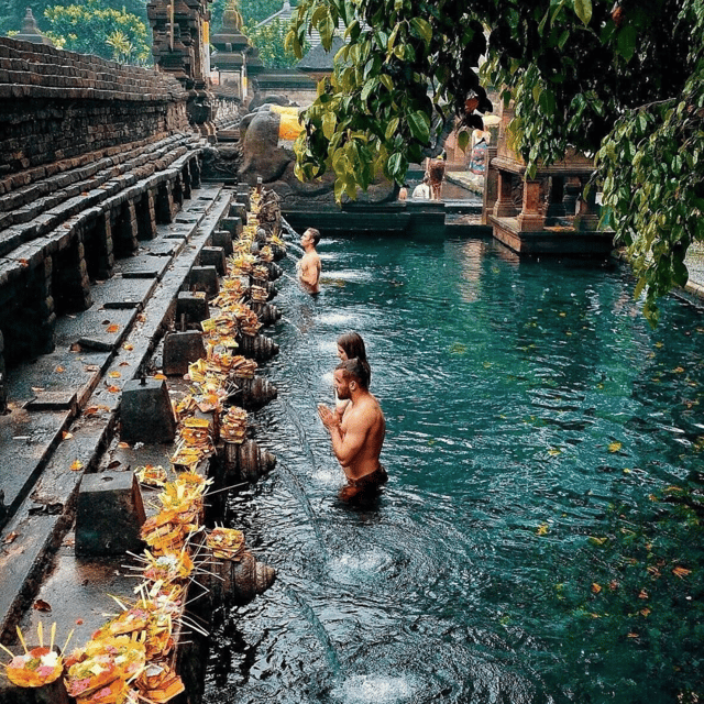 Ubud Tour: Lovely Day With Highlight of Ubud - Monkey Forest Exploration
