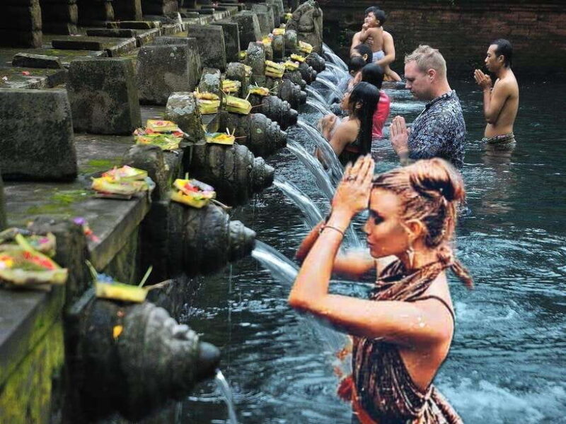 Ubud Tour: Monkey Forest, Tegalalang Rice Terrace, & temple - An In-Depth Look at the Ubud Tour