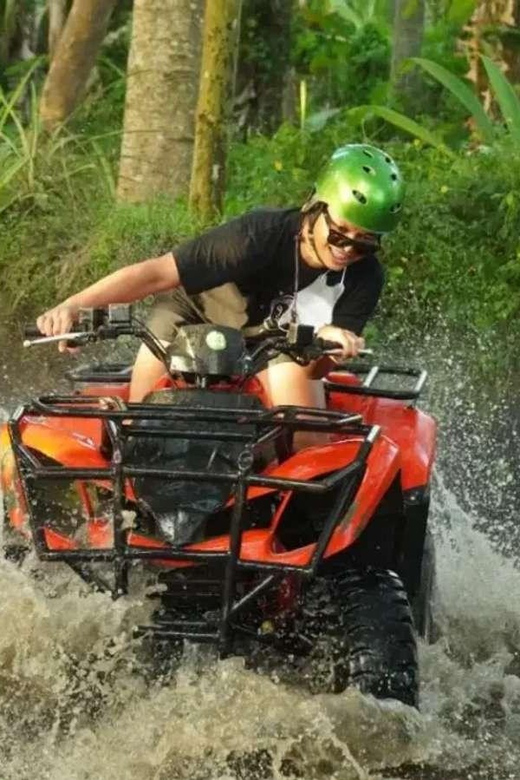 Ubud: Tour Quad Bike, Monkey Forest, Tegalalang Rice Terrace - Quad Bike Adventure in Ubud