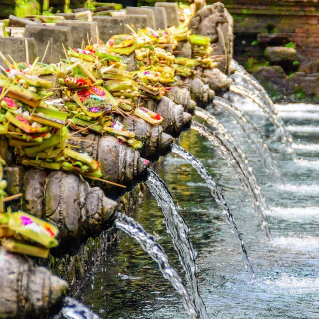 Ubud Tour With a Purification Ritual at Tirta Empul Temple - What to Bring