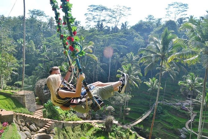 Ubud Trip, the Best of Ubud in a Day - All Inclusive - Lunch and Private Driver/Guide