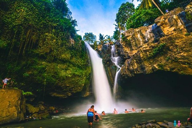 Ubud Trip, the Best of Ubud in a Day - All Inclusive - Private Tour Participation