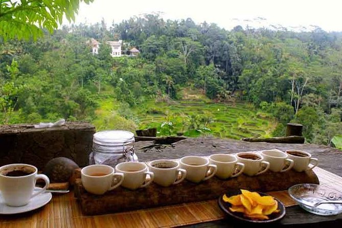 Ubud Trip, the Best of Ubud in a Day - All Inclusive - Review and Badge of Excellence