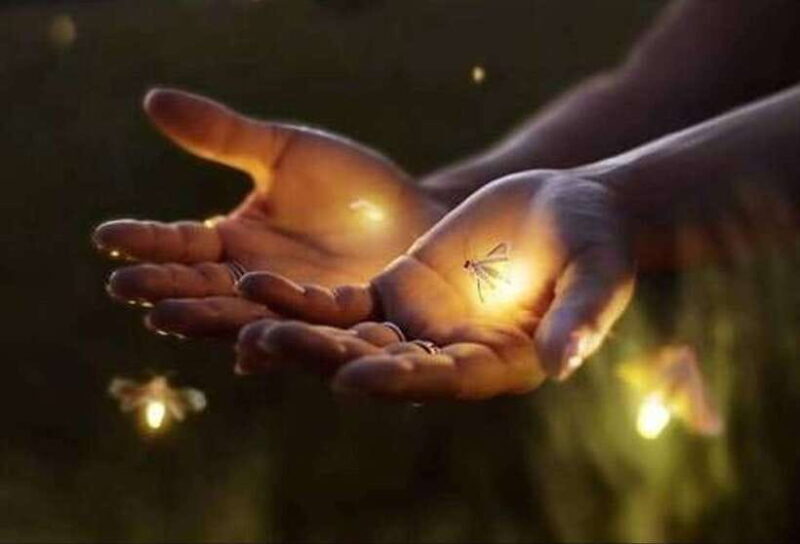 Ubud: Village Firefly Night Tour with Dinner - An Introduction to the Experience