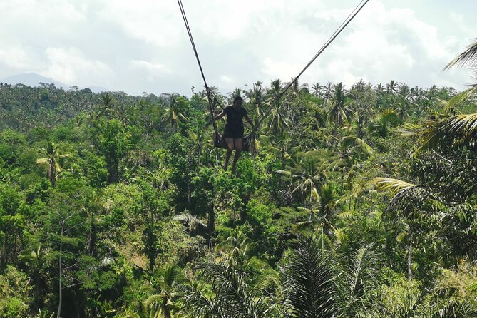 Ubud Village, Tegalalang Rice Terrace Swing, Tirta Empul Temple and Waterfafall - The Thrill of the Swing