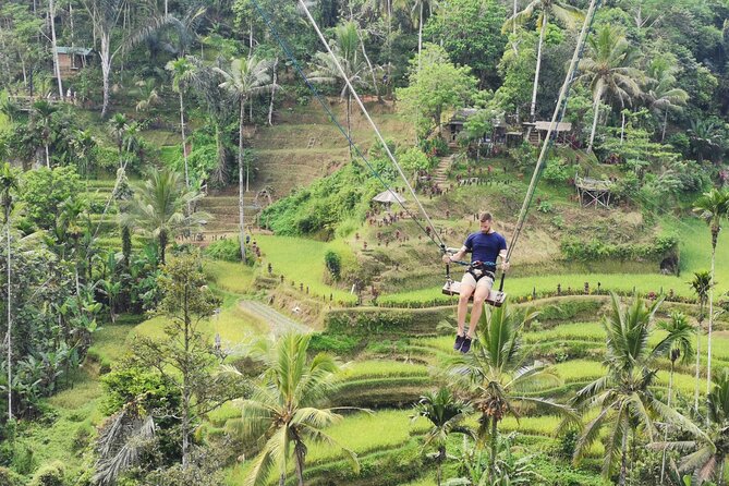 Ubud Village, Tegalalang Rice Terrace Swing, Tirta Empul Temple and Waterfafall - Natural Beauty of Waterfalls