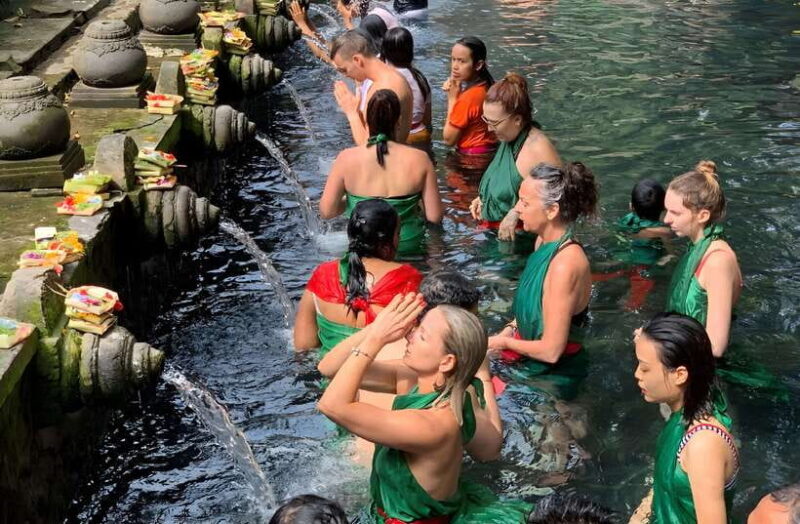 Ubud Village, Waterfall and Kintamani Volcano Private Tour - Final Thoughts
