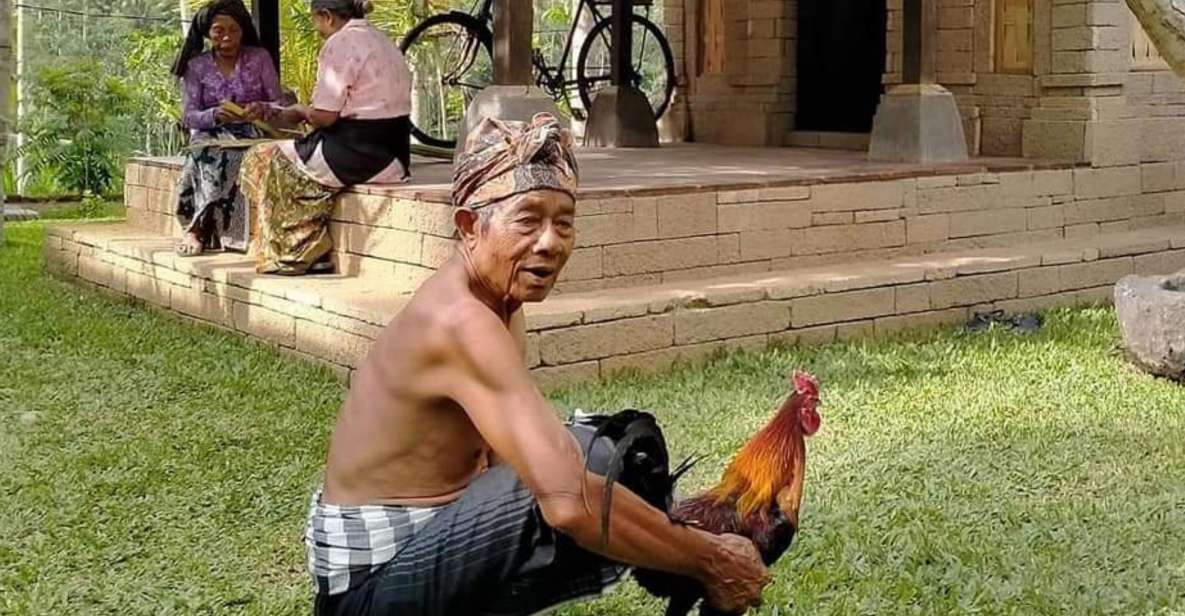 Ubud: Visit the Waterfall, Umah Bali Kuno, and Tirta Empul Temple - Key Points