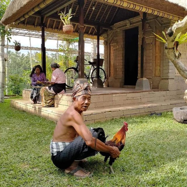 Ubud: Visit the Waterfall, Umah Bali Kuno, and Tirta Empul Temple - Ulu Petanu Waterfall