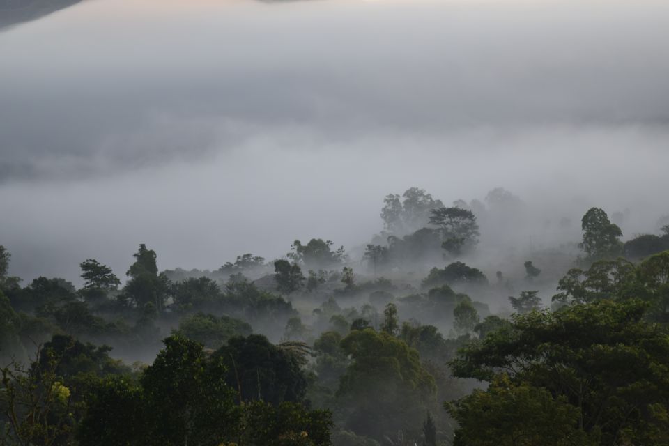 Ubud & Volcano Hot Springs Tours - Key Points