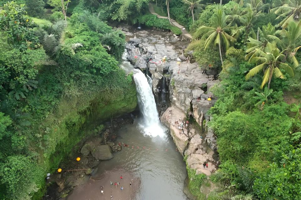 Ubud VW Safari Bali Tour - Key Points