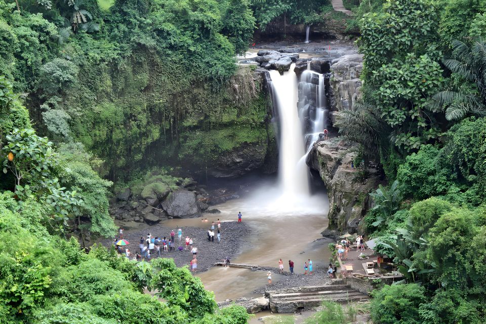 Ubud VW Safari Bali Tour - Exclusions