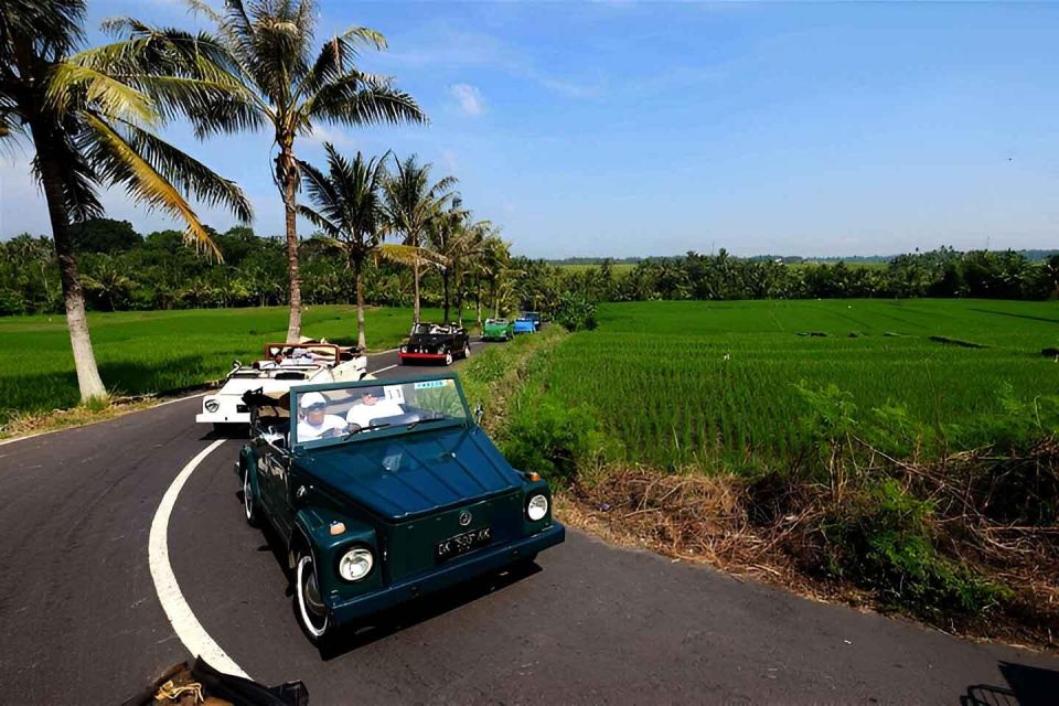 Ubud VW Safari Bali Tour - Tegalalang Rice Terrace