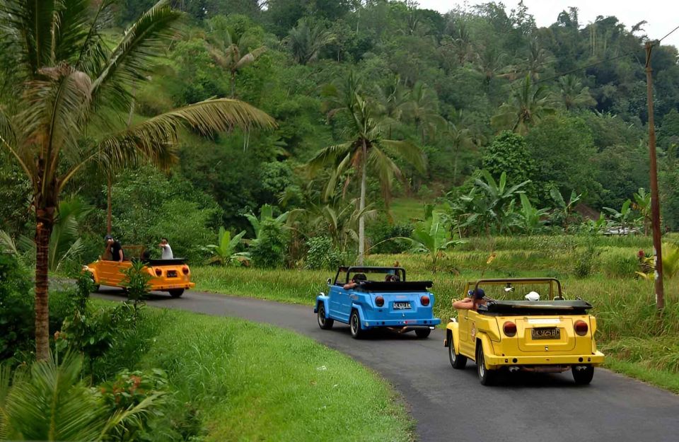 Ubud VW Safari Bali Tour - Ubud Highlights