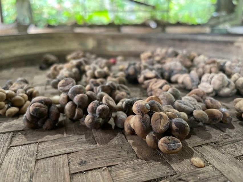 Ubud: Water Rafting, ATV Ride, and Coffee Plantation - Booking and Pricing Information