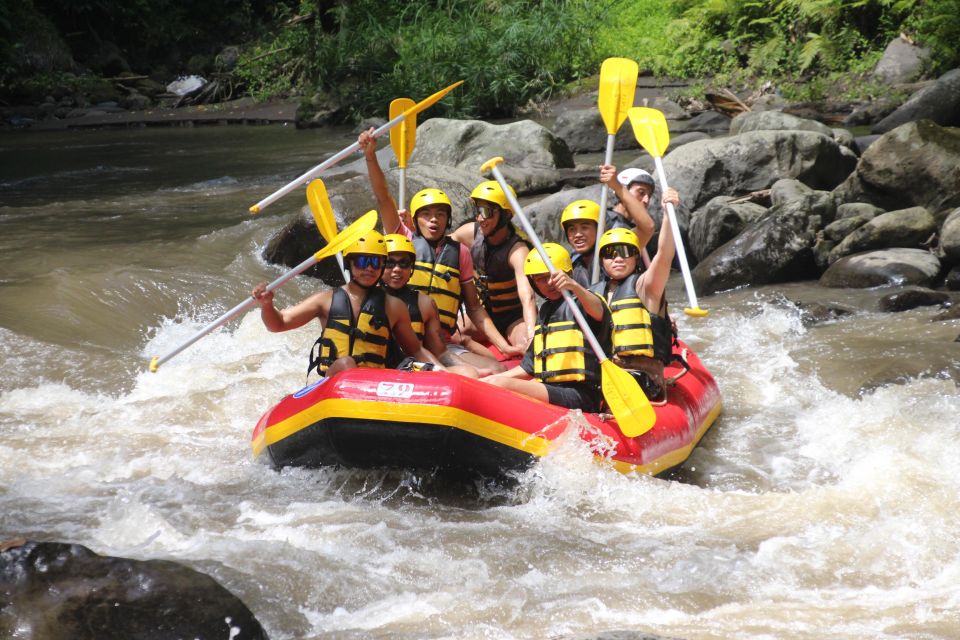 Ubud Water Rafting, Rice Terrace, Waterfall Tour All Included - Key Points