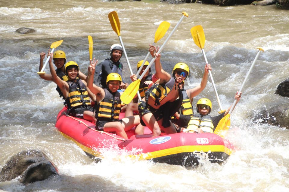 Ubud Water Rafting, Rice Terrace, Waterfall Tour All Included - River Rafting Experience