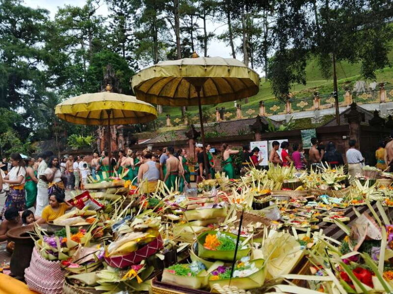 Ubud: Water Temple, Rice Terrace, and Waterfalls Tour - Final Thoughts