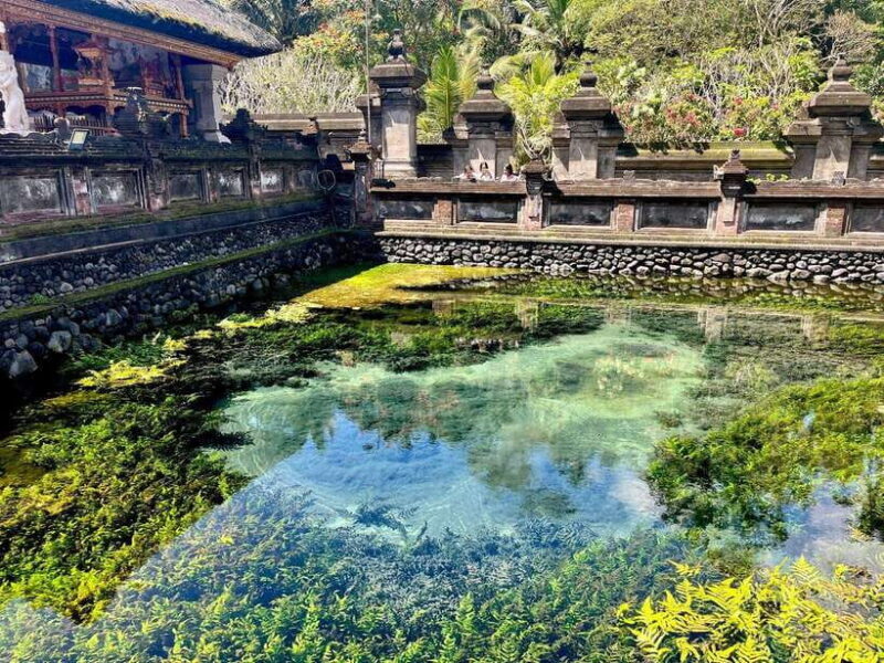 Ubud: Water Temple, Rice Terrace, Waterfall, Private Tour - Possible Drawbacks