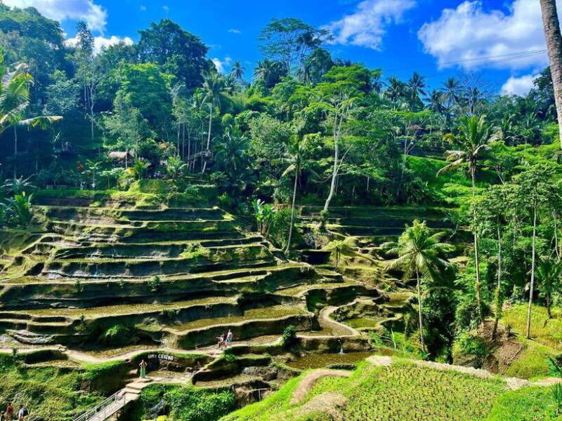 Ubud: Water Temple, Rice Terrace, Waterfall, Private Tour - Final Thoughts