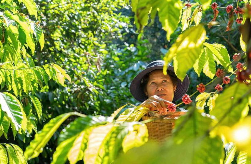 UBUD : Water Temples, Waterfalls, and Rice Terraces Tour - Practical Details and What to Expect