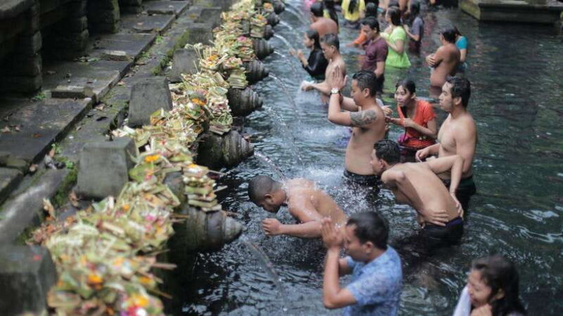 UBUD : Water Temples, Waterfalls, and Rice Terraces Tour - Experience Quality and Guest Feedback
