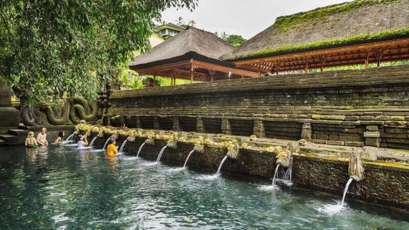 UBUD : Water Temples, Waterfalls, and Rice Terraces Tour - The Sum Up