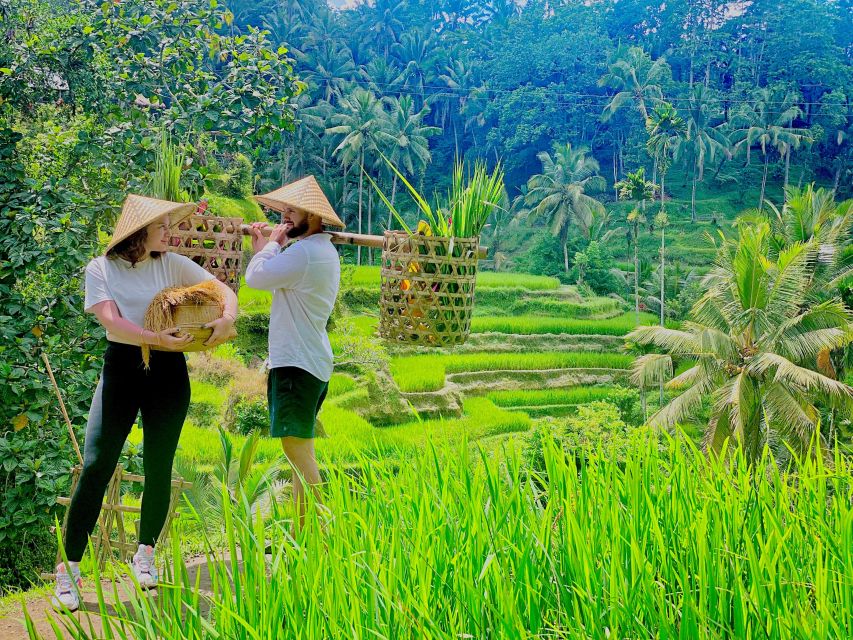 Ubud Waterfall, Coffe Plantation,And Atv Quad Bike - Detailed Itinerary