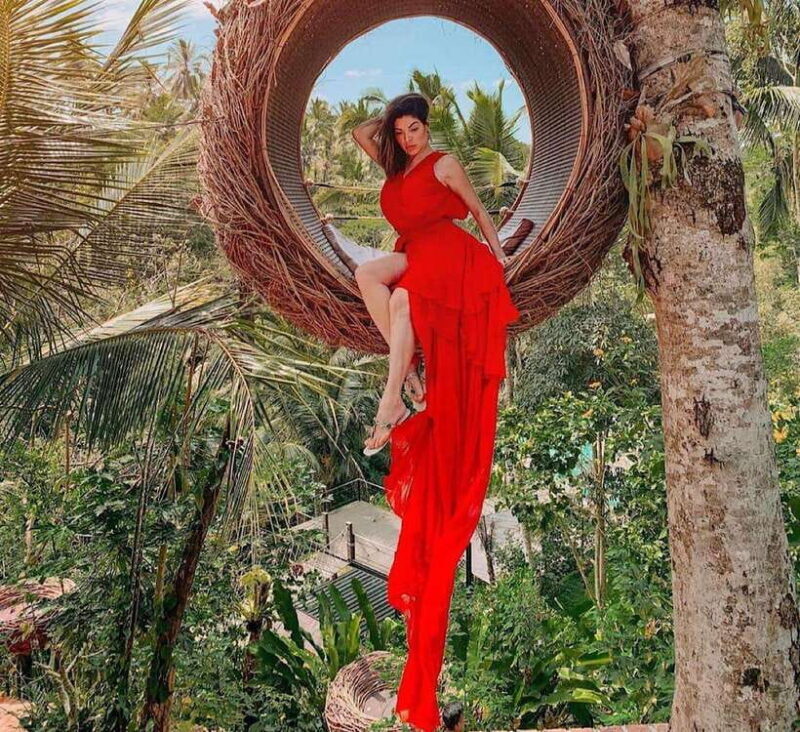 Ubud: Waterfall, Holy Water Temple,Swing&coffee plantation - Key Points