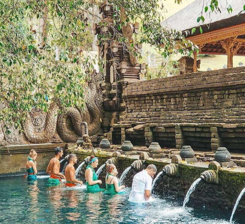 Ubud: Waterfall, Holy Water Temple,Swing&coffee plantation - Why It’s Worth Considering