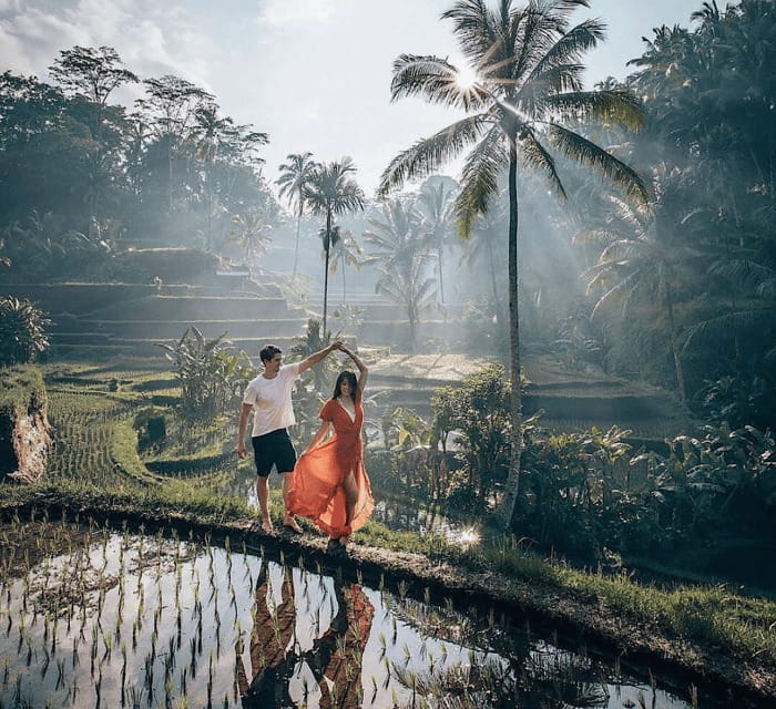 Ubud: Waterfall, Holy Water Temple,Swing&coffee plantation - Final Thoughts: Is This Tour for You?