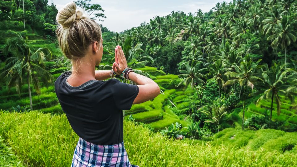 Ubud: Waterfall, Rice Terraces & Monkey Forest Private Tour - Key Points
