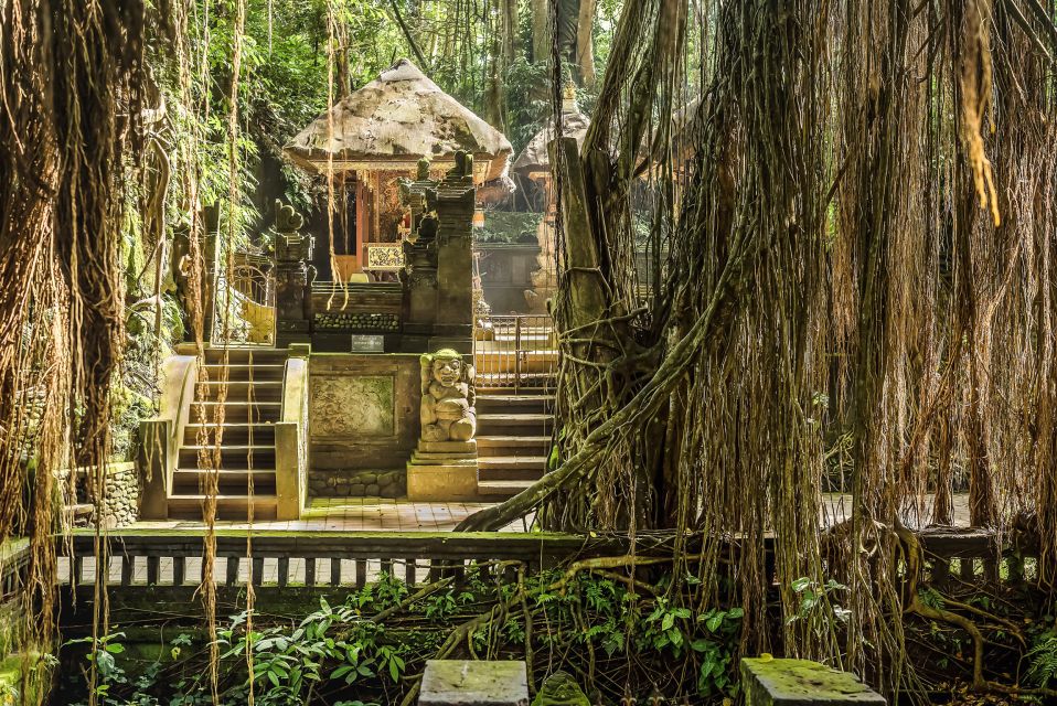 Ubud: Waterfall, Rice Terraces & Monkey Forest Private Tour - Inclusions