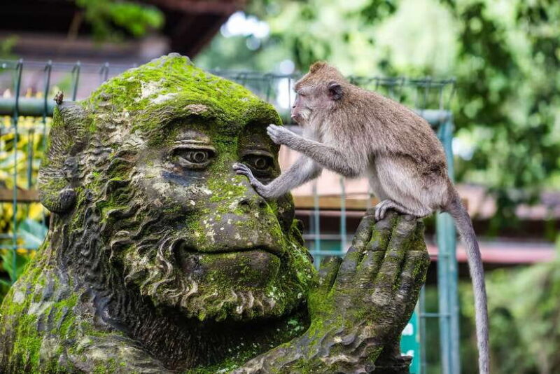 Ubud: Waterfall, Rice Terraces & Monkey Forest Tour - Key Points