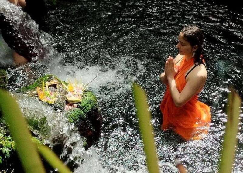 Ubud: Waterfall, Ricefield, Purification Ritual Private Tour - Who Will Love This Tour?