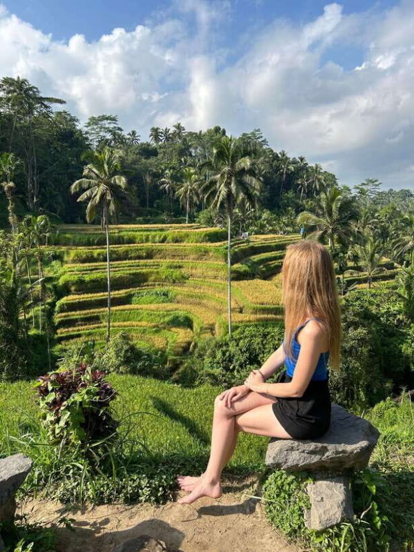 Ubud Waterfall, Temple, Rice Terrace & Art with Transfers - A Deep Dive into the Tour Experience