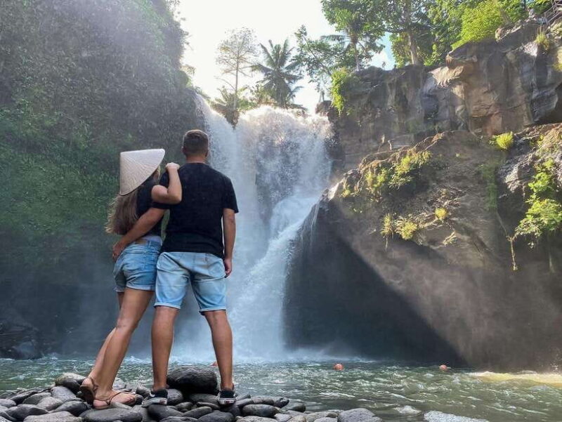 Ubud Waterfall, Temple, Rice Terrace & Art with Transfers - Who Would Love This Tour?