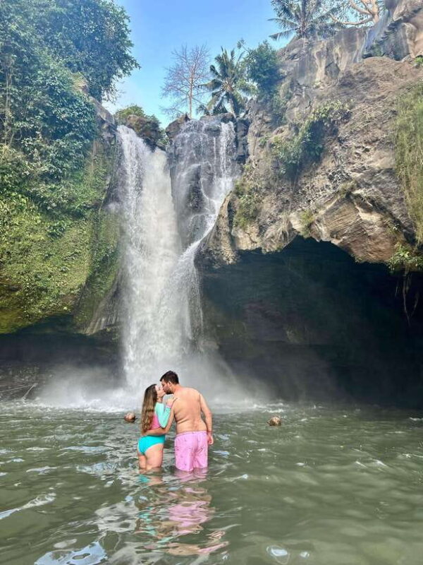 Ubud Waterfall, Temple, Rice Terrace & Art with Transfers - The Sum Up