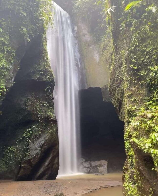 Ubud: Waterfalls and Tegalalang Rice Terrace private Tour - An In-Depth Look at the Ubud Waterfalls and Rice Terrace Tour
