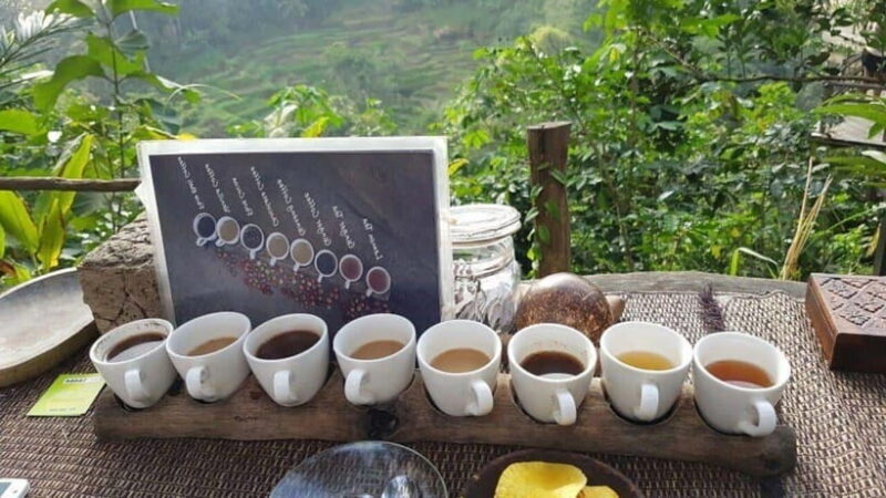 Ubud: Waterfalls, Holy Water Temple & Rice Terraces Day Tour - Final Thoughts
