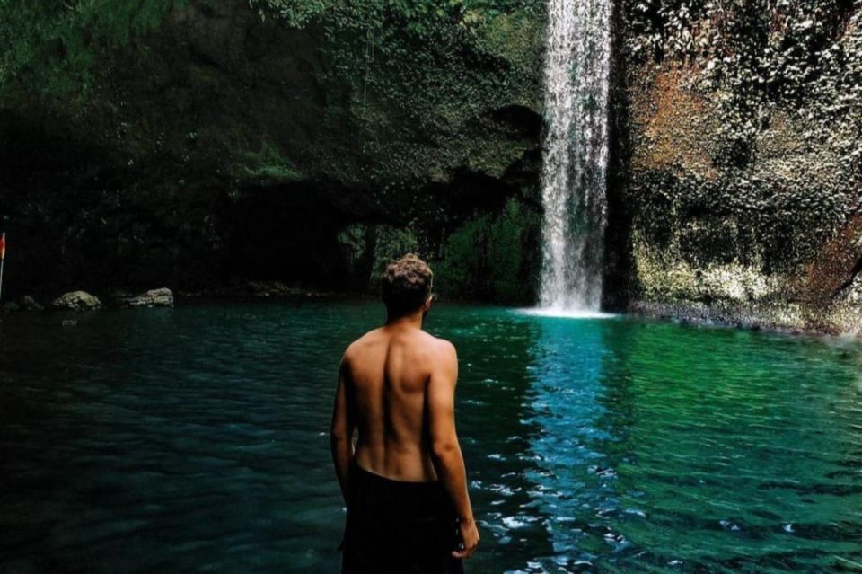 Ubud: Waterfalls, Temple and Rice Terrace Day Trip - Free Cancellation