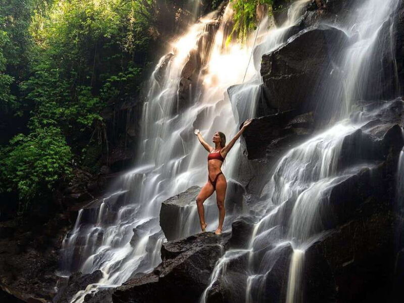 Ubud: Waterfalls, Temple, and Rice Terrace Private Day Tour - Introduction
