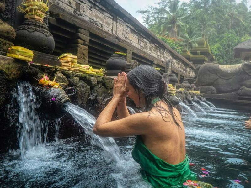 Ubud: Waterfalls, Temple, and Rice Terrace Private Day Tour - What’s Included and What’s Not