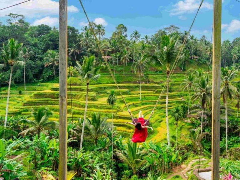Ubud: Waterfalls, Temple, and Rice Terrace Private Day Tour - FAQs