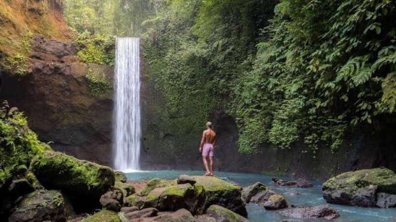 Ubud: Waterfalls, Water Temple & Rice Terraces Private Tour - Authenticity, Value, and the Guide Experience