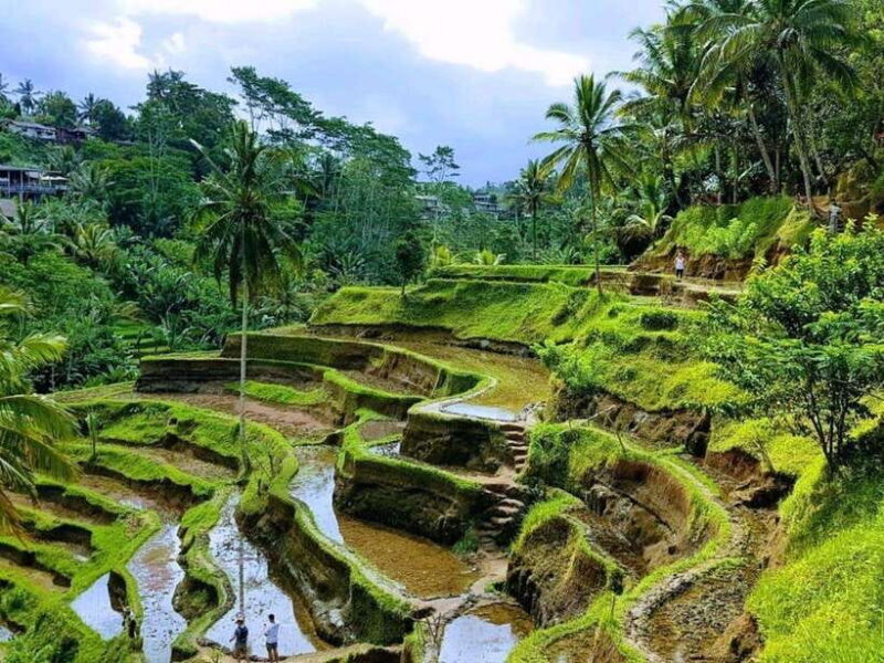 Ubud: Waterfalls, Water Temple & Rice Terraces Private Tour - Wrapping It Up