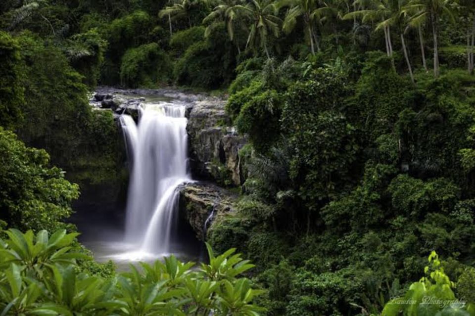 Ubud: Waterfalls,Rice Terrace & Monkey Forest Private Tours - Convenient Transfer