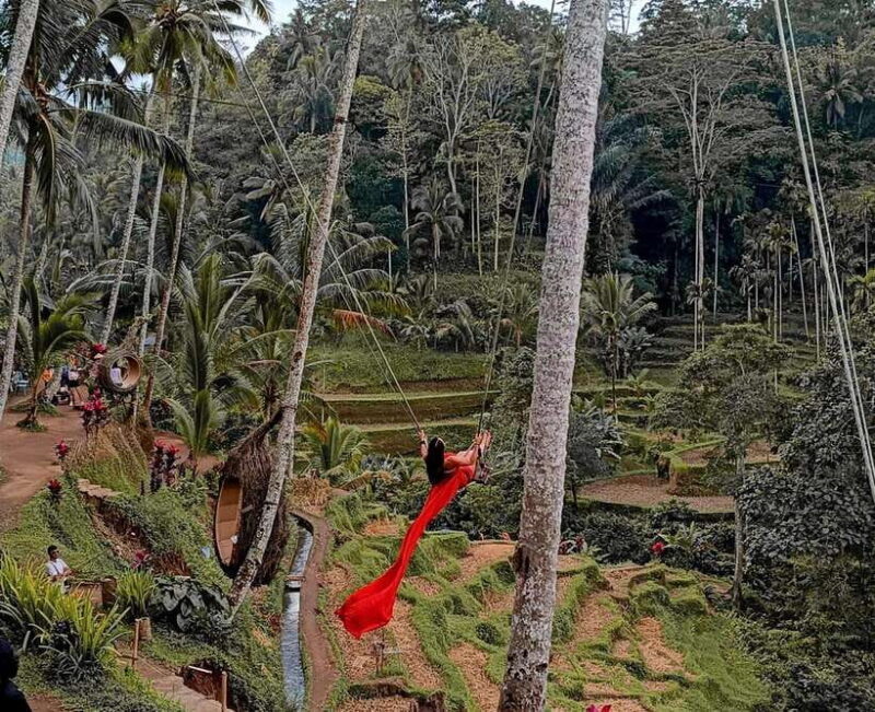 Ubud White Water Rafting with Lunch Included - The Value of the Experience