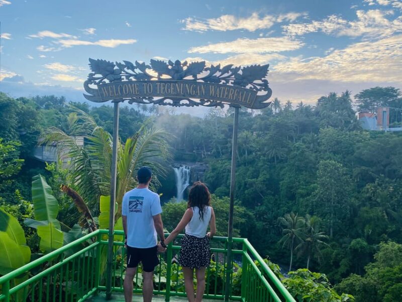 Ubud Wonders:Experience Temple,Rice Terraces and Waterfalls - Inclusions