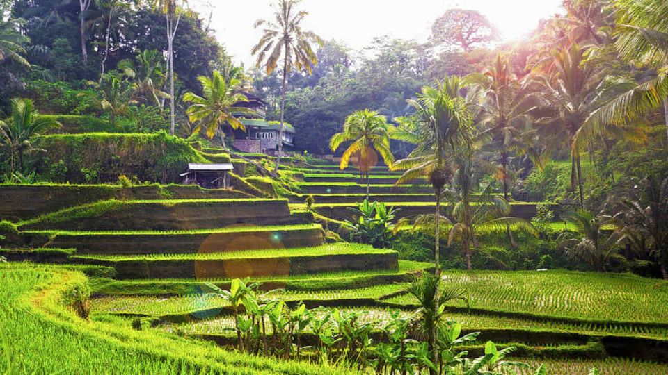 Ubud: Wood Carving Class in a Balinese Home - Key Points